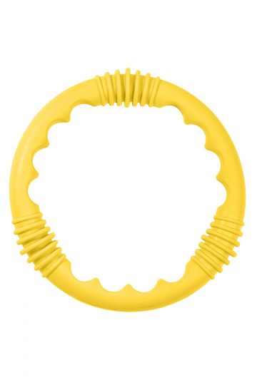 Toy Diving ring